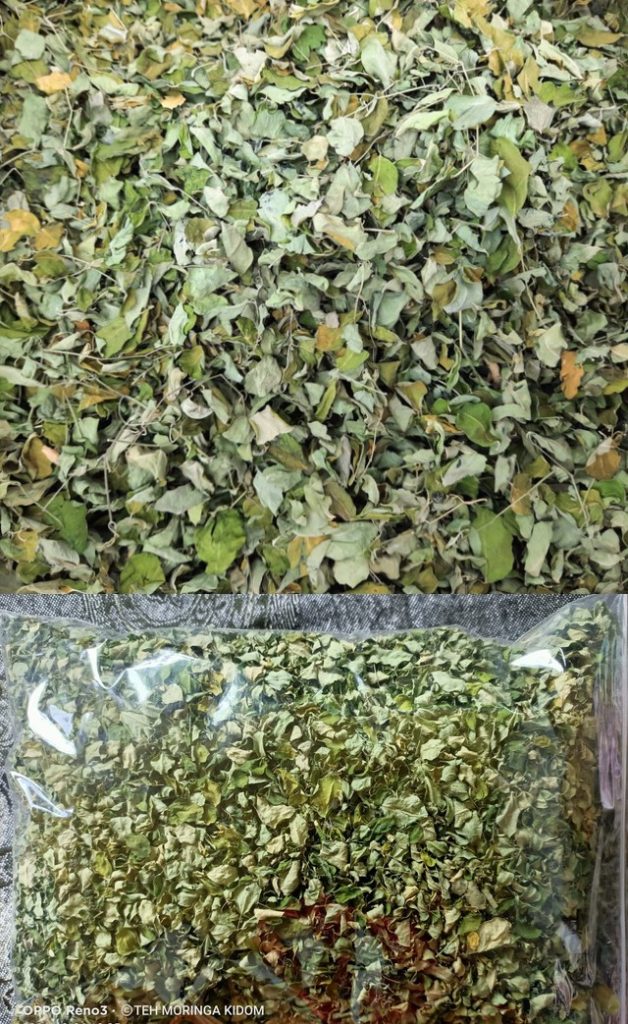 DAUN KELOR KERING - PLASTIK CLIP/OMICRON